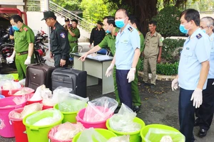 Hải quan TPHCM tham gia phá một chuyên án ma túy