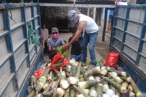 Chở ân tình về xuôi