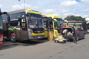  Nhiều doanh nghiệp vận tải ở TPHCM đang cần sự hỗ trợ. Ảnh: ĐỨC TRUNG 