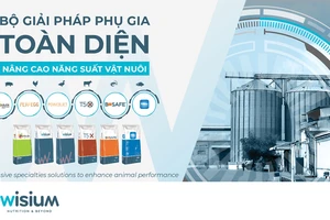 Wisium với bộ giải pháp phụ gia toàn diện nâng cao năng suất vật nuôi