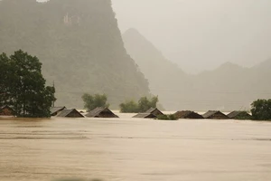 Tại Tân Hóa, huyện Minh Hóa (Quảng Bình), nước lũ dâng cao hơn 2m, khoảng 300 ngôi nhà bị ngập sâu. Ảnh: TTXVN