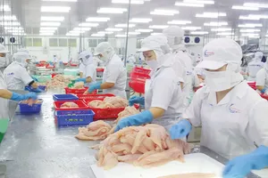 Tăng cường chế biến cá tra xuất khẩu dịp cuối năm ở ĐBSCL. Ảnh: NGUYỄN THANH