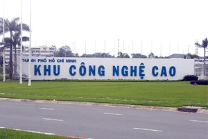 TPHCM lên kế hoạch thu hút 14 chuyên gia, nhà khoa học