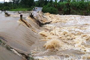 Mưa lũ lớn ở nhiều địa phương 