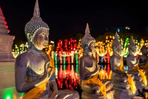 LHQ tổ chức Ngày Quốc tế Phật đản VESAK