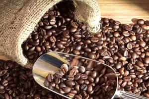 Caffeine có tác dụng chống lại khối u ác tính