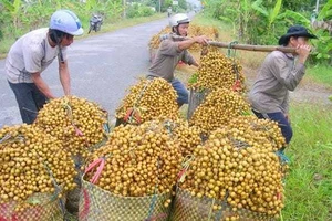 Hỗ trợ người dân tiêu thụ nông sản