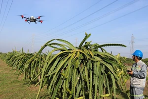 Nông dân ở ĐBSCL ứng dụng khoa học kỹ thuật vào sản xuất để giảm công lao động, giảm giá thành, tăng năng suất. Ảnh: HUỲNH LỢI