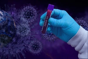 Hà Lan phát hiện đường dây cung cấp virus SARS-CoV-2