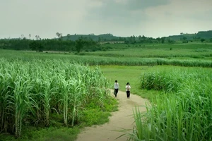 Những mục tiêu… lãng mạn