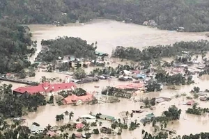 Thị trấn Loboc, tỉnh Bohol thuộc vùng Trung Visayas sau khi bão RAI tràn qua. Nguồn: PWS