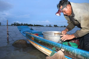 Nhiều nông dân vùng biên giới huyện An Phú, tỉnh An Giang thu nhập 1 triệu đồng/ngày nhờ đánh bắt cá linh