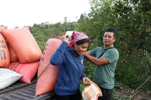 Anh Lý Ná Na, Bí thư Chi bộ bản Tá Miếu, người đi đầu trong mọi phong trào ở địa phương. Ảnh: QUANG PHÚC