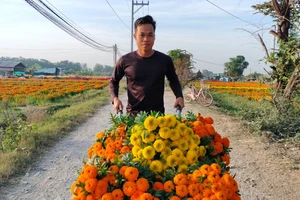 Sắc xuân Đông Nam bộ