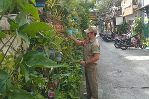 Xanh hóa khu phố