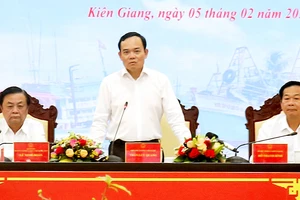 Phó Thủ tướng Trần Lưu Quang phát biểu chỉ đạo hội nghị