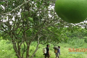 Bên trong 10 hang động nơi người đàn ông 91 tuổi sinh sống