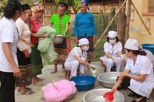 Khánh Hòa: Số ca mắc sốt rét tăng cao