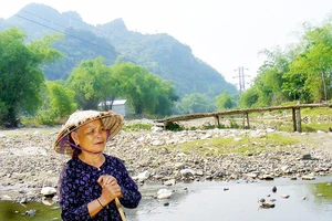 Bà Vi Thị Mậu ở bản Thắm (xã Châu Cường) trên dòng Nậm Huống cạn trơ đáy, ngổn ngang đất đá