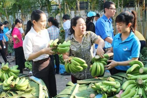 Giá trị sản xuất nông nghiệp TPHCM tăng hơn 10.000 tỷ đồng 