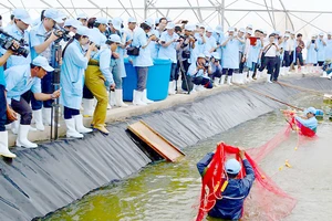 Mô hình nuôi tôm siêu thâm canh cho hiệu quả cao. Ảnh: NGUYỄN THANH