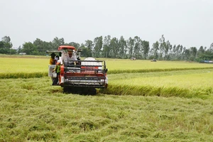 ĐBSCL là vùng sản xuất nông nghiệp trọng điểm, nên nhu cầu sử dụng máy móc rất lớn