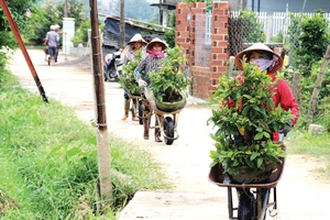 Nông dân miền Trung chuẩn bị vào mùa sau lũ bão