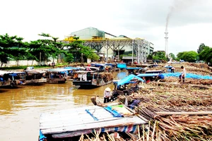 Áp lực ngày càng đè nặng lên ngành mía đường trong quá trình hội nhập