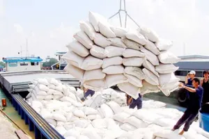 Giá lúa gạo miền Nam giảm, miền Bắc tăng