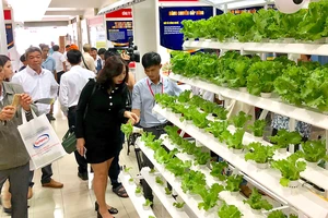 Hệ thống trồng rau sạch được giới thiệu tại Techmart 2018. Ảnh. T.BA