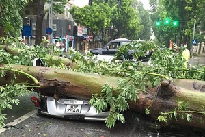 Bão Bebinca sẽ gây mưa lớn ở Trung Lào, lũ sông Cửu Long lên 4m