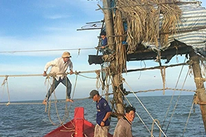 Những “tổ chim” bên đáy hàng khơi