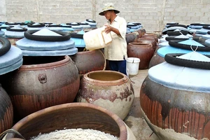 Nghề làm nước mắm truyền thống ở TP Phan Thiết đang bấp bênh do thiếu nguồn nguyên liệu