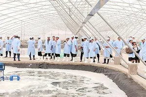 Kiểm tra vùng sản xuất tôm