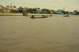 Hậu Giang cập nhật độ mặn qua điện thoại