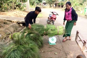 Người bản Khe Cát bán đót