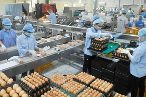 TPHCM triển khai chương trình bình ổn thị trường 2019
