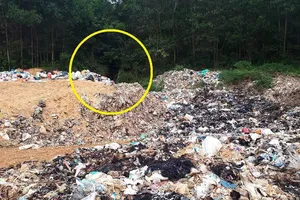 Một góc bãi rác thải và khe nước đổ về hạ lưu