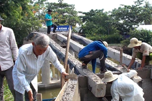 Người dân tình nguyện ở ấp Minh Kiên A đang cạy ván cốp pha, đổ móng cầu Kênh 10 