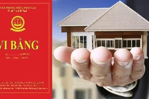 Vi bằng không chứng nhận giao dịch liên quan nhà đất