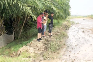 Một số thanh niên do đối tượng Cọp (ngoài cùng, đội nón) cầm đầu “bảo kê” cho việc bơm cát san lấp đất của dân