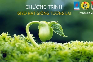 KCM trao học bổng cho sinh viên trong chương trình “Gieo hạt giống tương lai năm 2019”