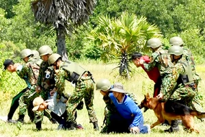 Vì sự bình yên của Tổ quốc - Bài 1: Tội phạm ma mãnh, liều lĩnh