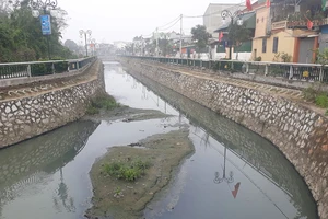 Nước trong hào thành cổ Vinh đen ngòm, ô nhiễm