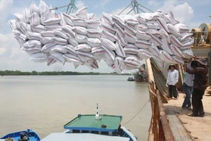 Giá lúa tăng nhẹ sau quyết định cho xuất khẩu gạo trở lại