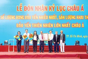 Yến sào Khánh Hòa khuyến mại sản phẩm yến sào đảo thiên nhiên nguyên chất