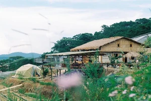 Chấn chỉnh mô hình farmstay trái phép