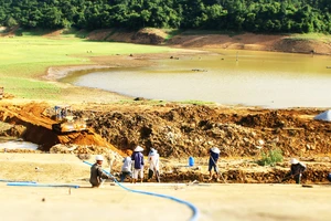 Chạy đua công trình phòng chống bão lũ 