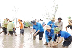 Nhóm bạn trẻ của chương trình “Hạnh Phúc Xanh” trồng rừng ngập mặn