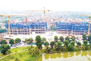 Hòa Bình thi công vượt tiến độ dự án Sky Oasis Residences